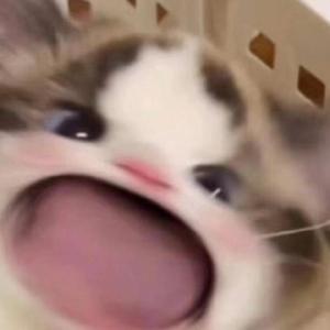 国产学生一级毛片在线
